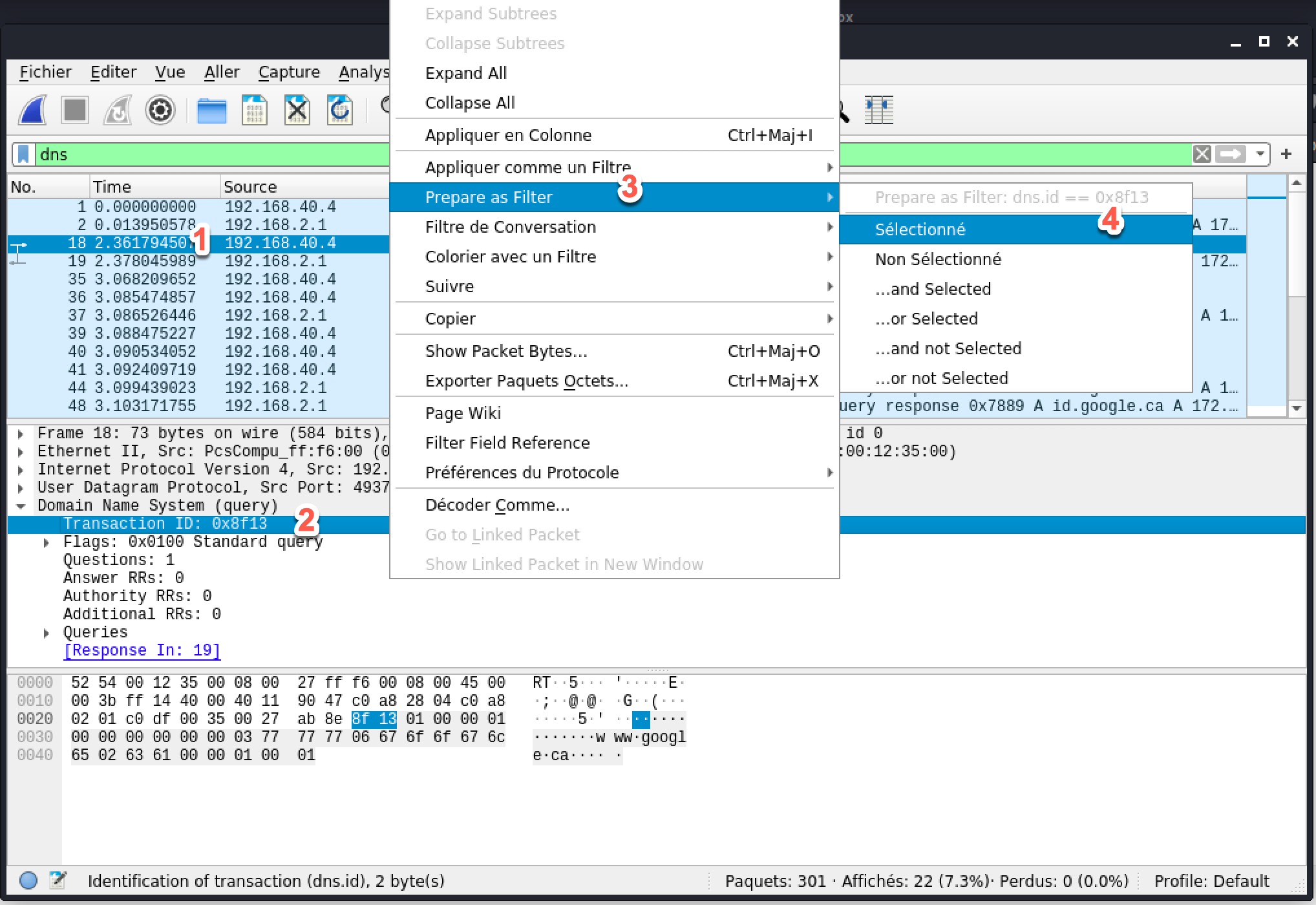 04-wireshark-dns-id-filter