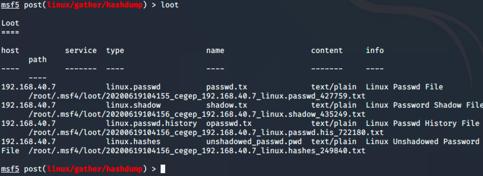 06-msfconsole-loot