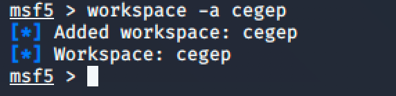 06-msfconsole-workspace-add