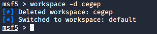 06-msfconsole-workspace-delete