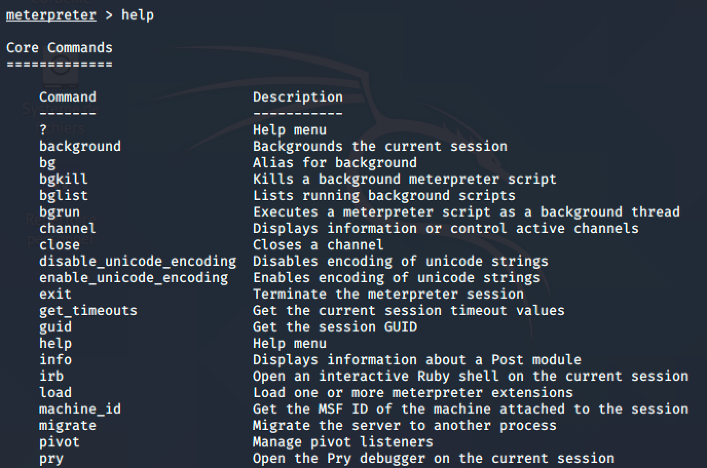 14-meterpreter-help