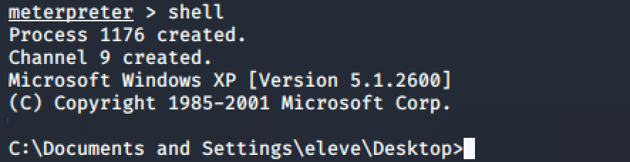 14-meterpreter-shell