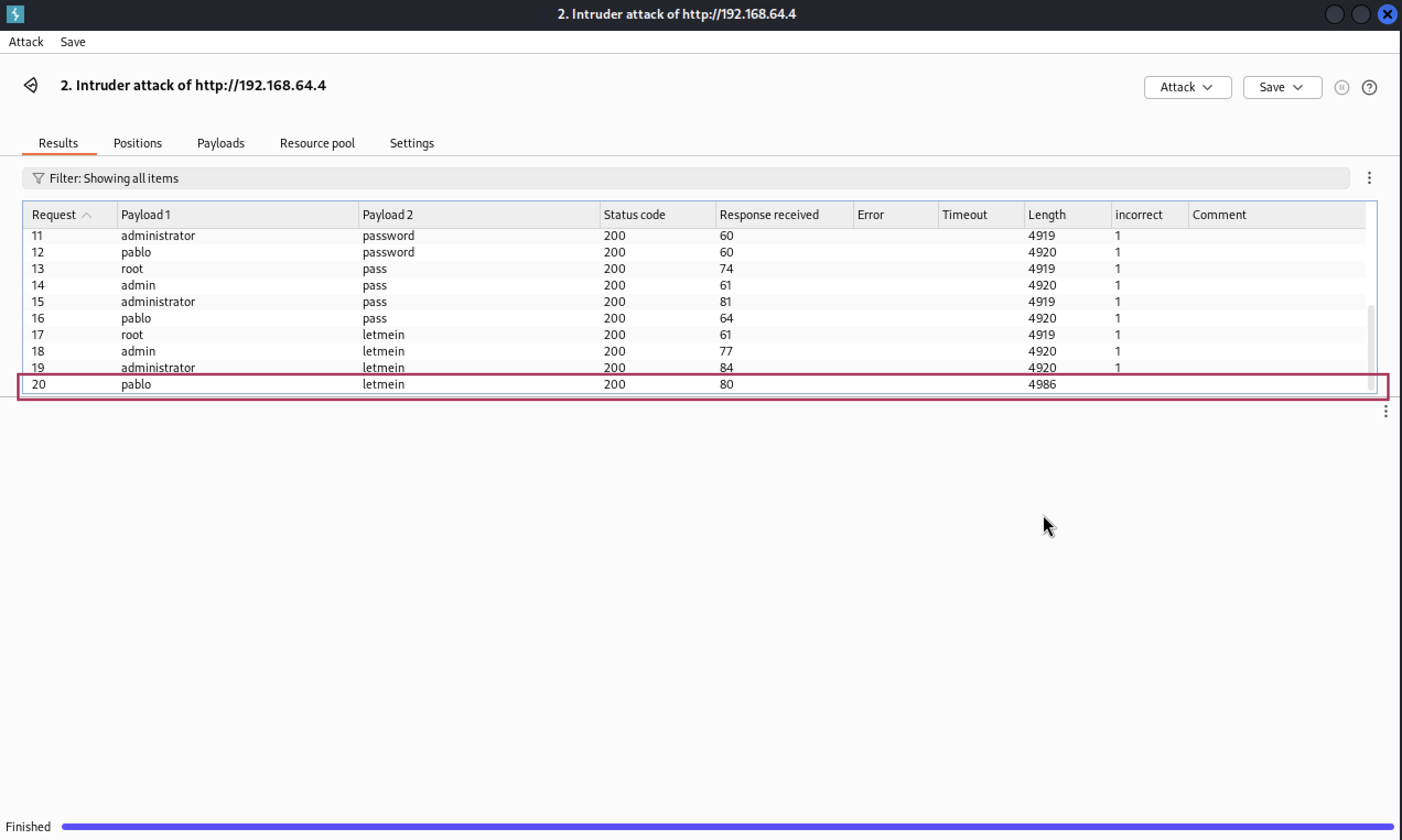 19-burpsuite-attack-results